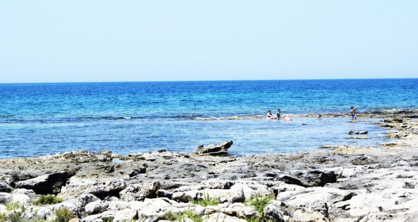 Giano Group Immobiliare